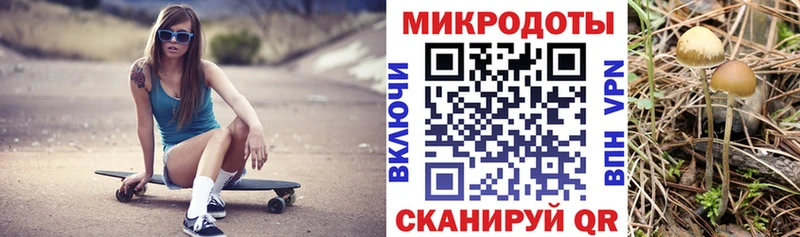 сколько стоит Нягань Псилоцибиновые грибы Psilocybine cubensis